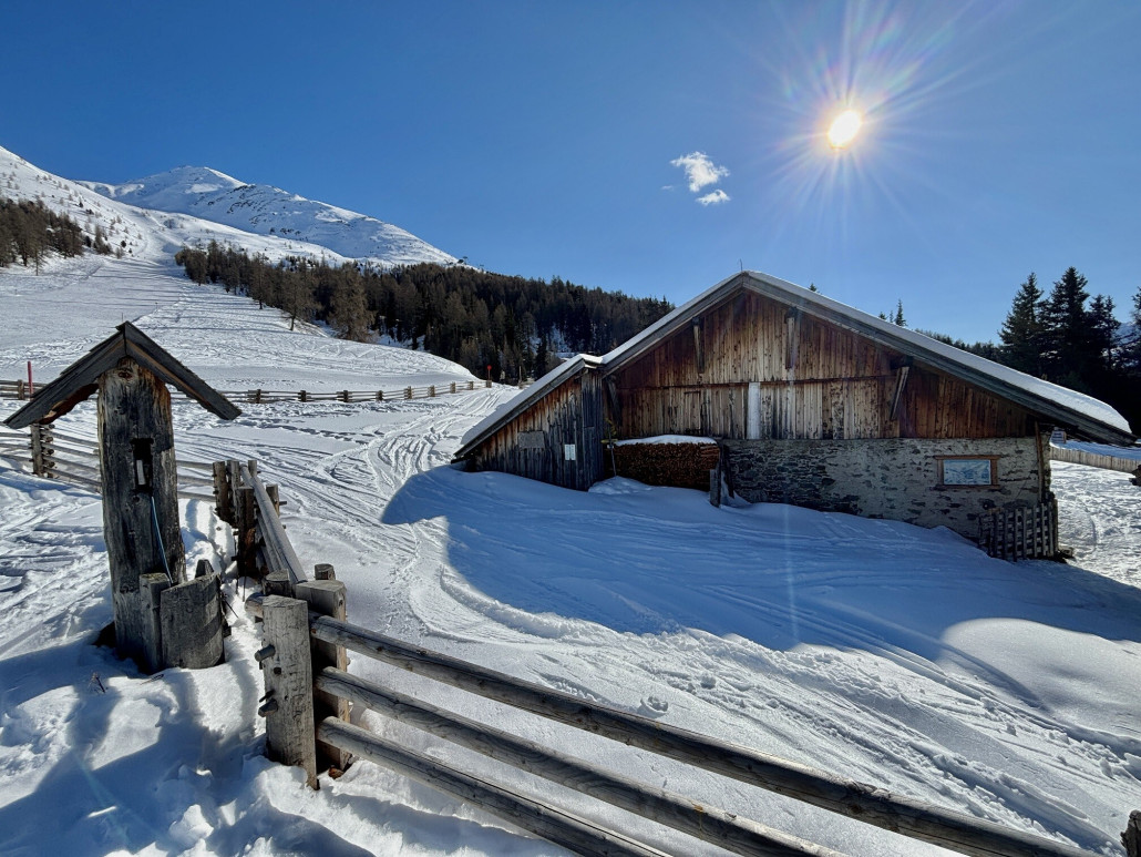 Gampenabfahrt (12) war super wenig los, dazu boten sich schöne Treeruns in dieser Ecke