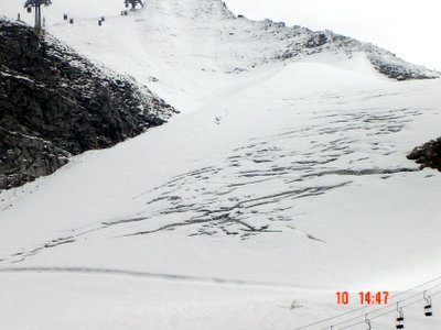 Der Hang neben dem Gletscherbus 3 vom 10.8.2006