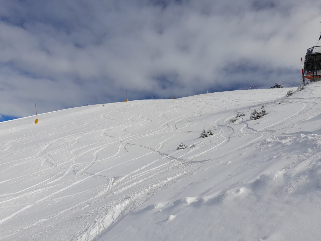 Salve (Bereich Rigibahn Bergstation)
