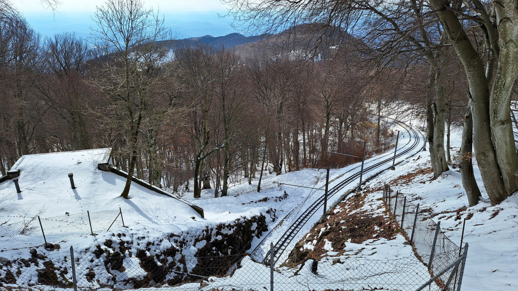 Vorerst noch im Wald
