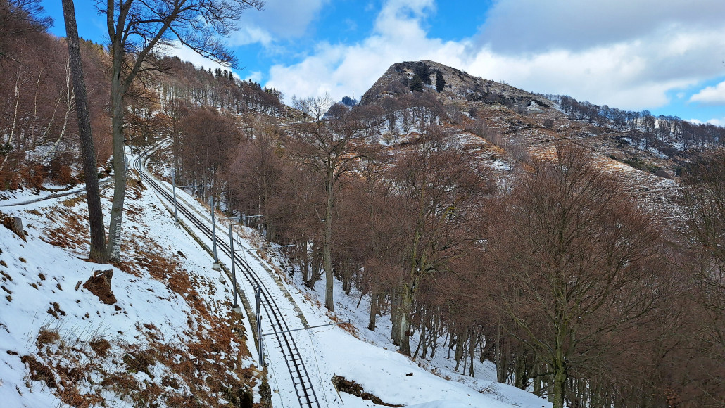 Bald folgt die Baumbrenze, welche hier in den letzten 130 Jahren rund 100 Höhenmeter angestiegen ist. Auf alten Fotos ist die Trasse ab Bellavista Baumfrei