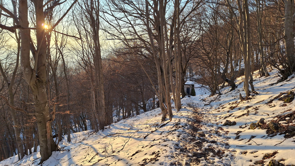 Mehr Schnee liegt im Laubwald