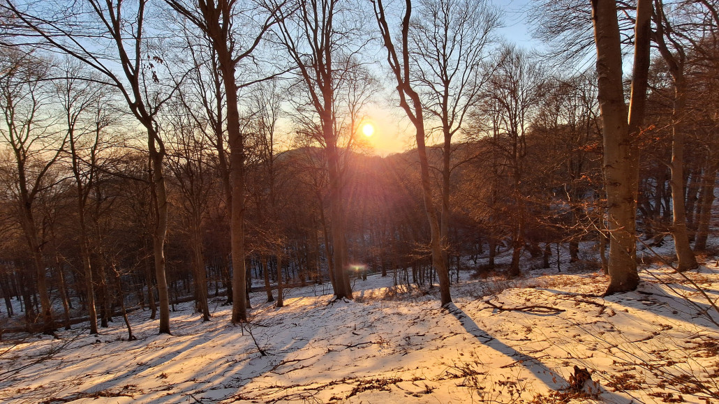 Geflutet vom goldenen Abendlicht