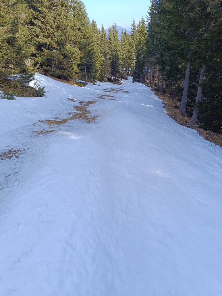 Woodpecker-Route (3b)