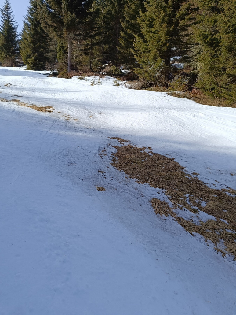 Woodpecker-Route (3b)