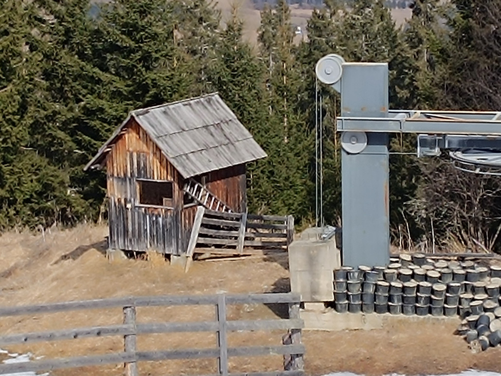 Lifthaus schaut mittlerweile auch sehr "LSAPig" aus