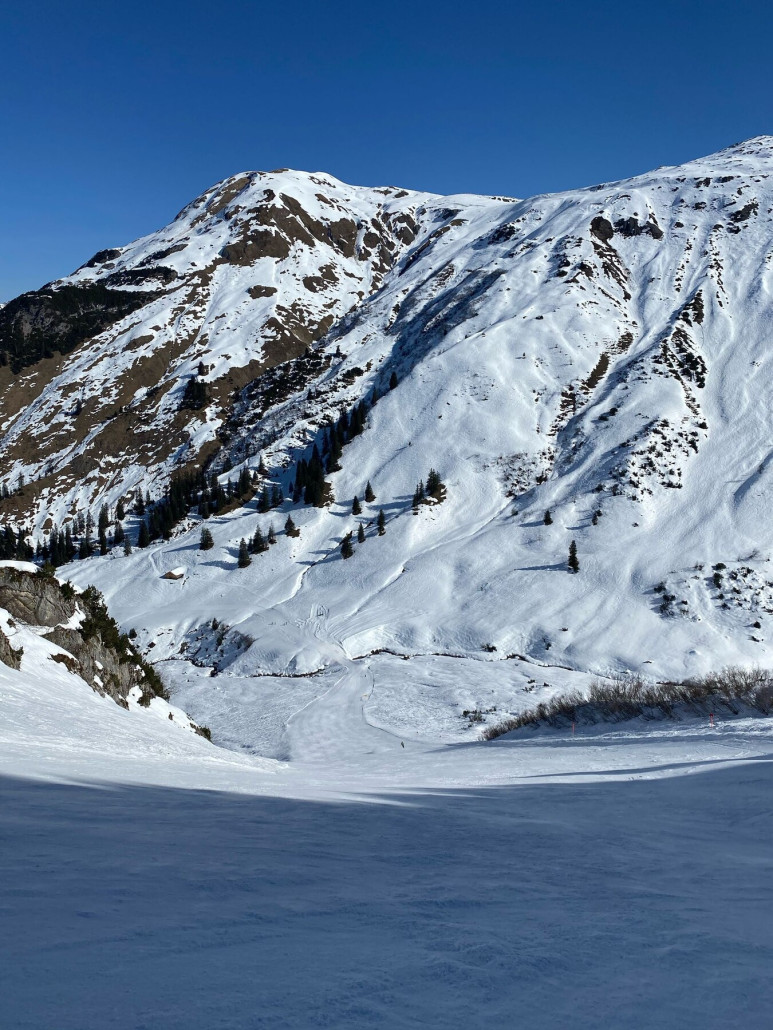 WhatsApp Image 2025-03-10 at 11.23.59 (1).jpeg