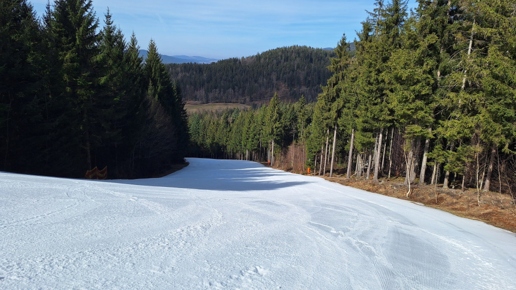 Die Waldabfahrt mit ihrem kontinuierlichen Gefälle.