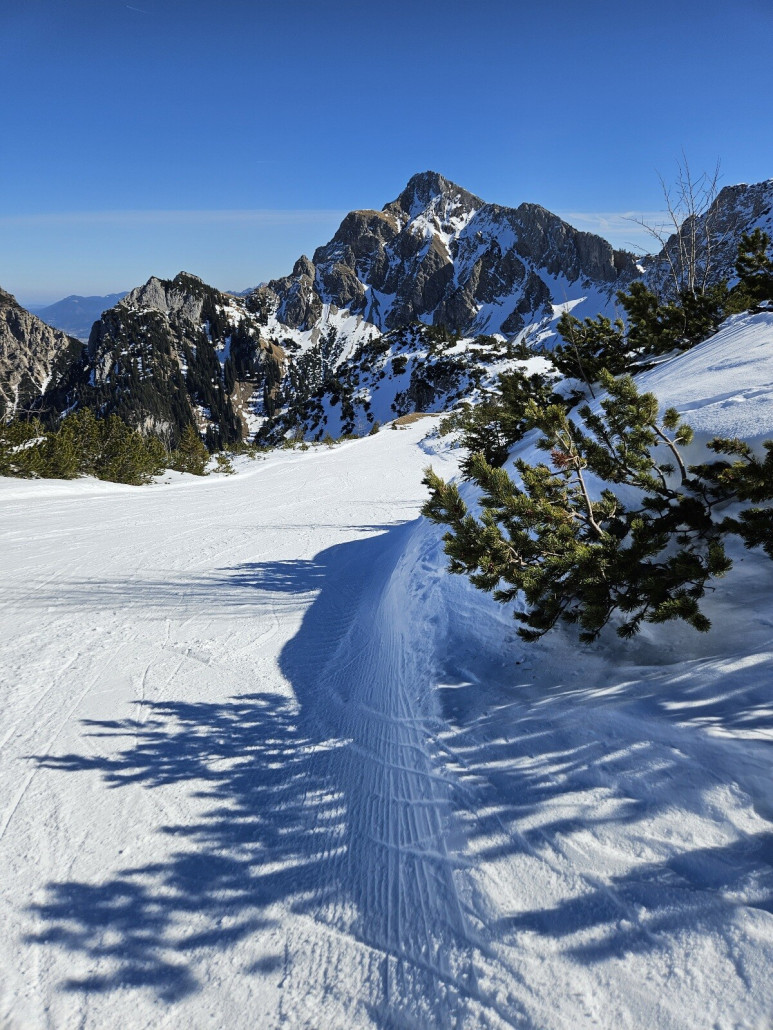 es gibt am Sessel doch einige Pisten,<br />die ganz linke von oben gesehen wurde am wenigsten befahren