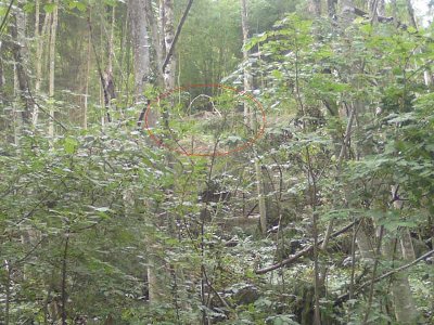 der gleiche Standpunkt wie das Bild zuvor, nur nach links geschaut.... und was entdecken wir da auf dem Bild? Ja ein Fundament des alten Kessellift.