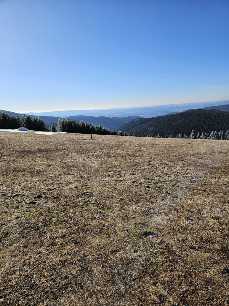 Ich bin darauf reingefallen