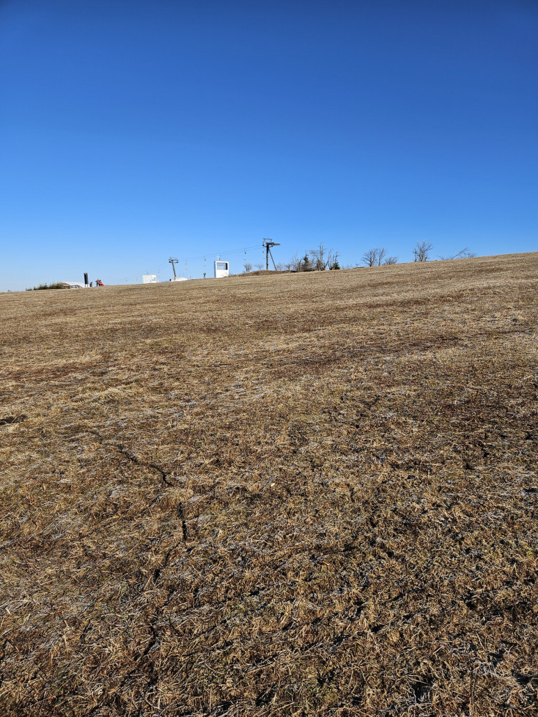 Und letzten Sonntag in Bozi dar gestartet.