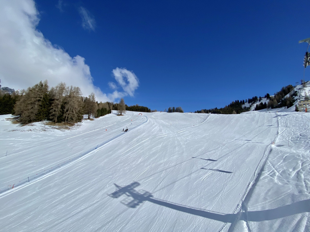Arlara (5) auch im oberen Bereich ähnlich mittelprächtige Präparierung