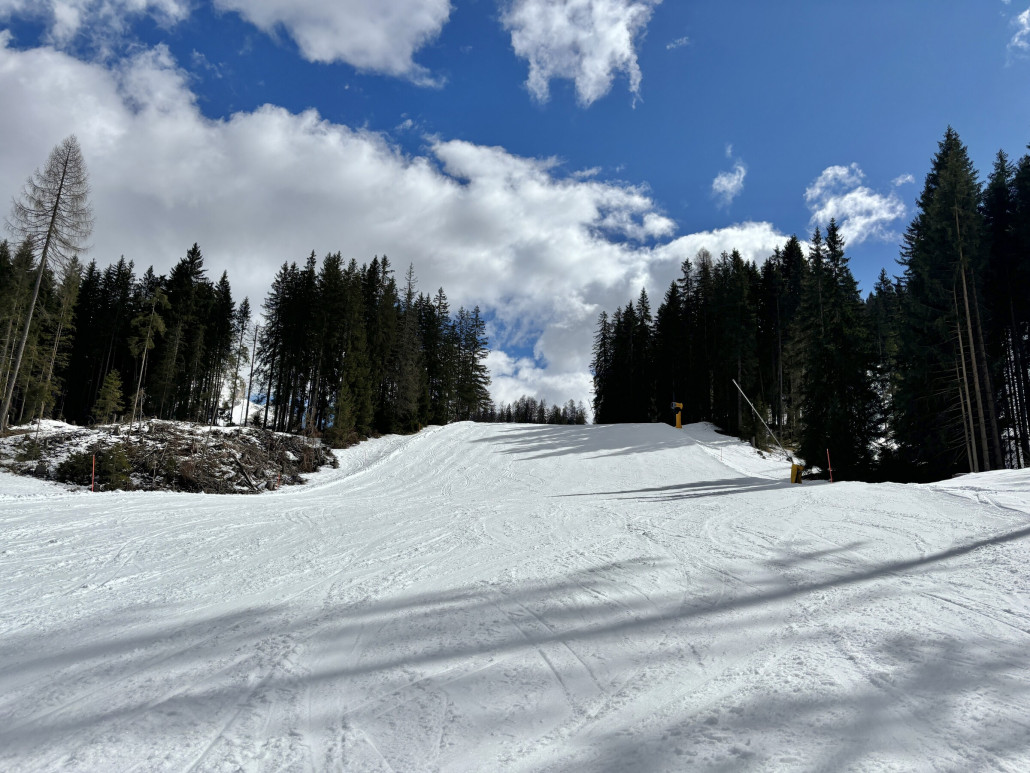 …und hier bergwärts geblickt, die Nordausrichtung ist im Frühjahr einfach vorteilhaft