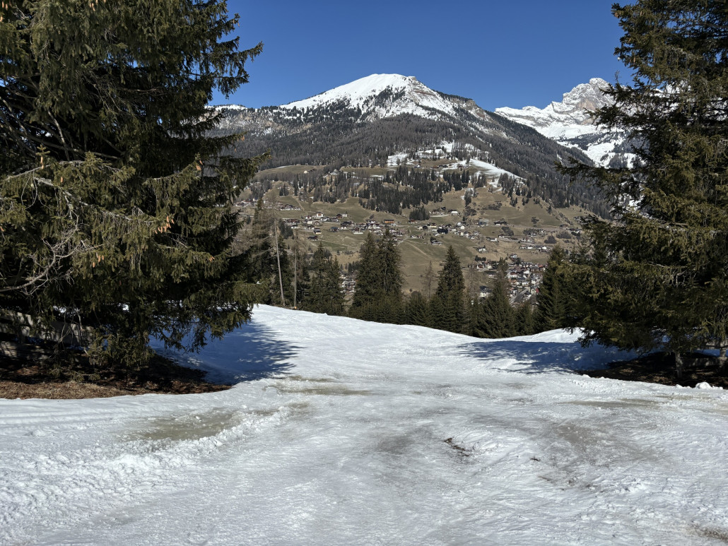 ...dann zwischen den Bäumen hindurch...