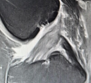 03-20-2025, 11-03-50.png