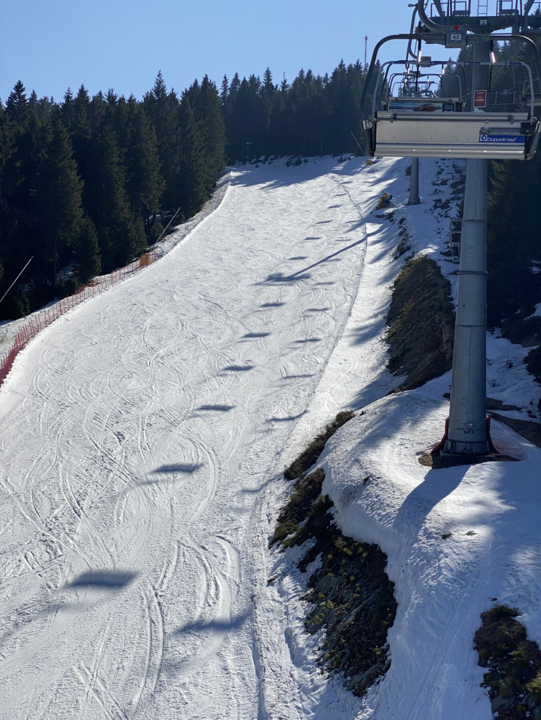 Premostena 1. Mal gut präpariert