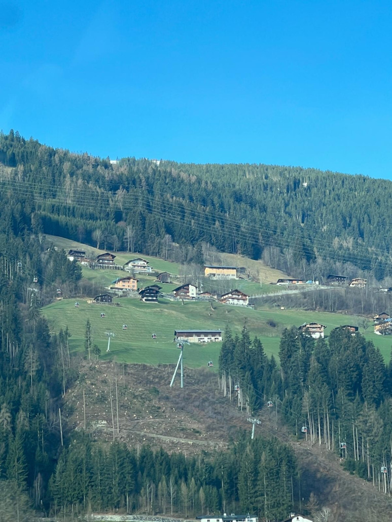 WhatsApp Image 2025-03-24 at 08.05.20.jpeg