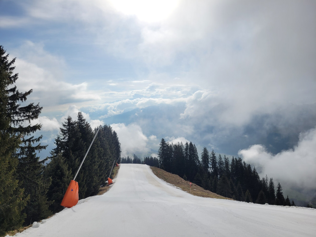 Dito. Am Nachmittag war dieses Stück fast komplett braun.