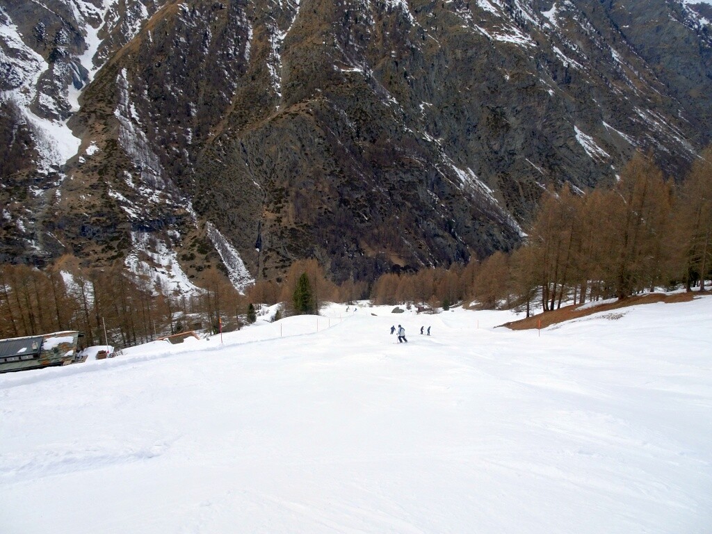 Riedabfahrt (2) ins Tal