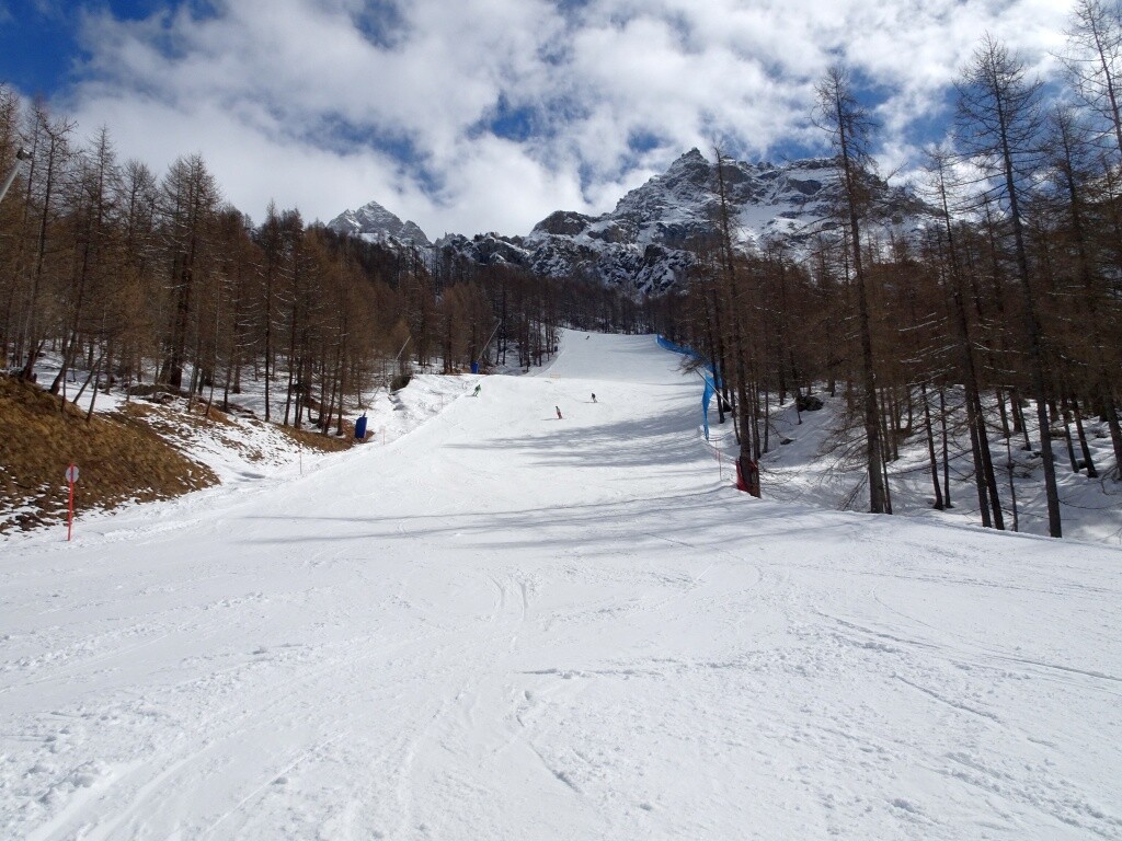Schöne Lärchenwälder