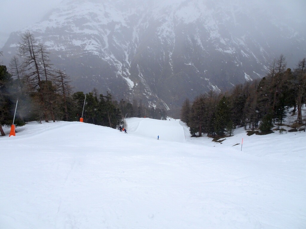 Auf der schwarzen Oberen National (8) - dank Wald gute Sicht