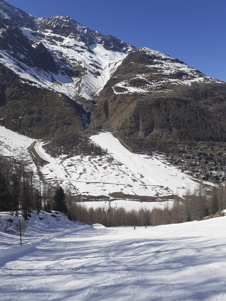 2 Galen, im Hintergrund Stafelwald