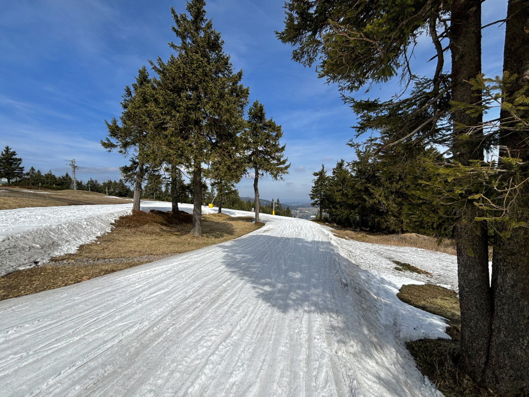 Zufahrt noch gut versorgt, was etwas Baumschatten ausmacht