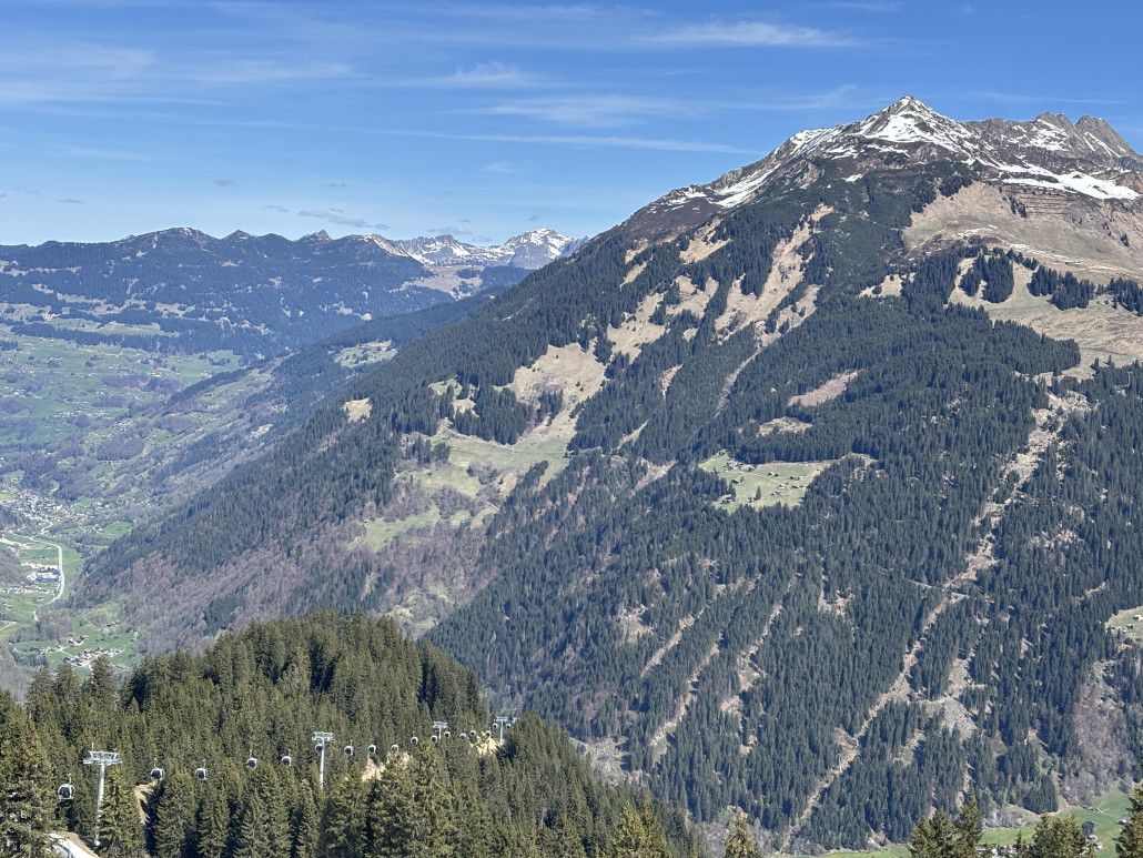 Grüner wirds nicht!