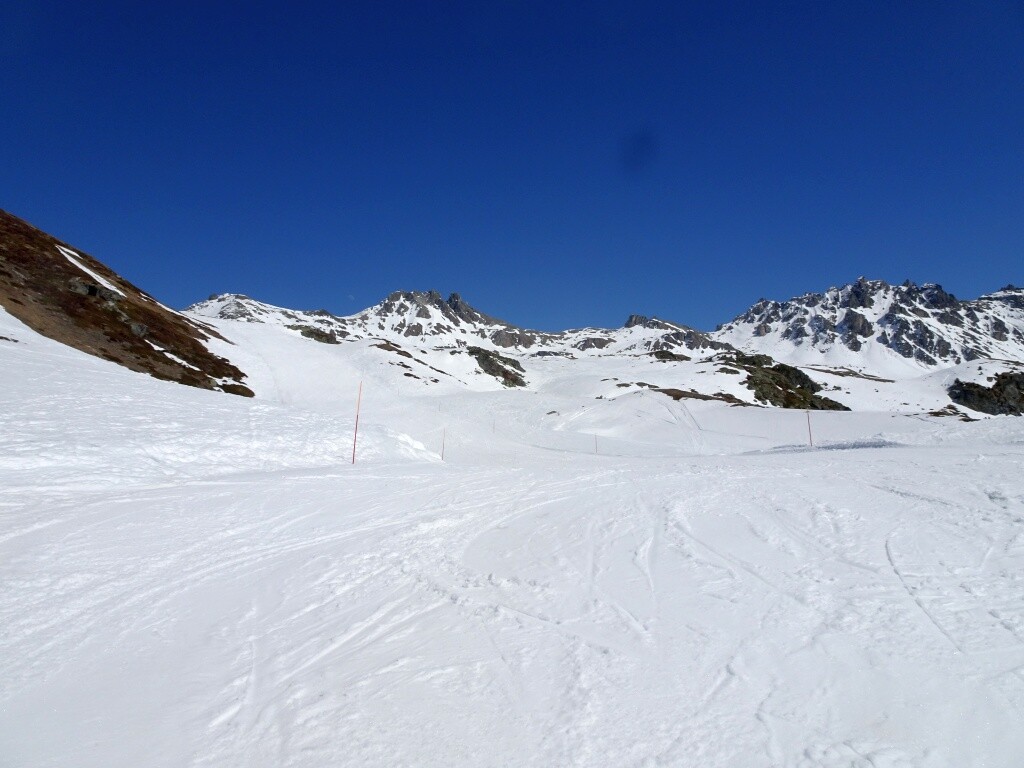 Rote Armina – wieder mal völlig allein.
