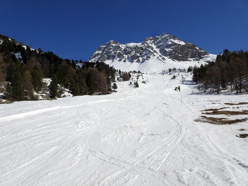 Standardbild zum Tounot