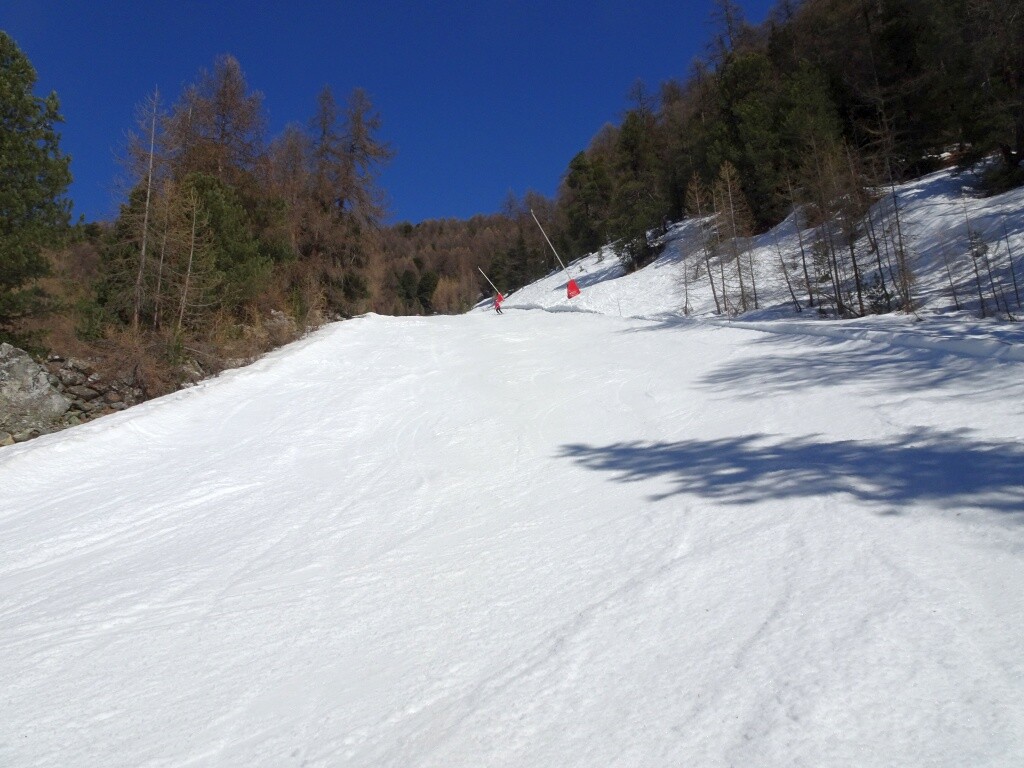 Erstes Steilstück im Wald – noch mit guter Schneeauflage.