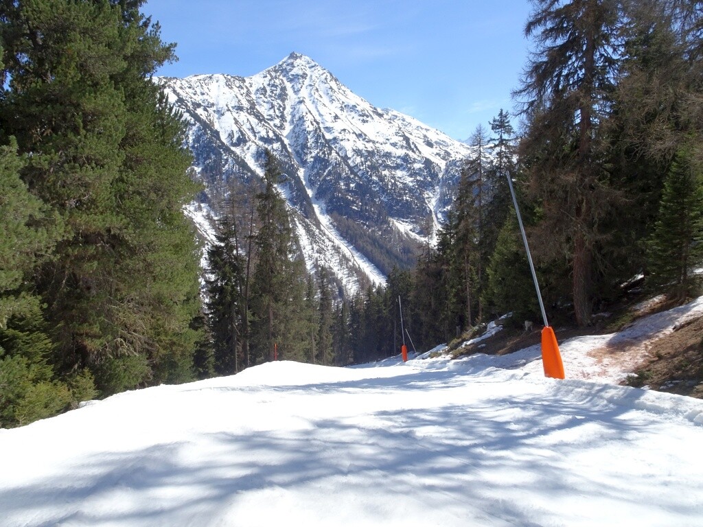 Heute die rote Forêt ins Tal.