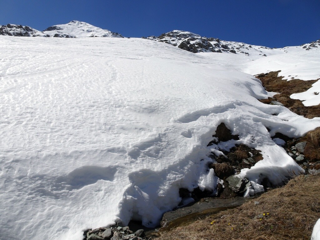 Der Frühling ist da und kommt immer mehr.