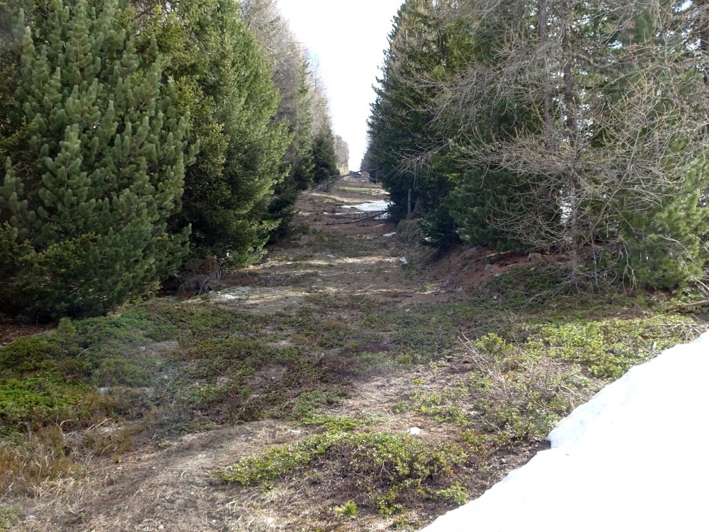 Hier ging der alte Stangenlift hoch.