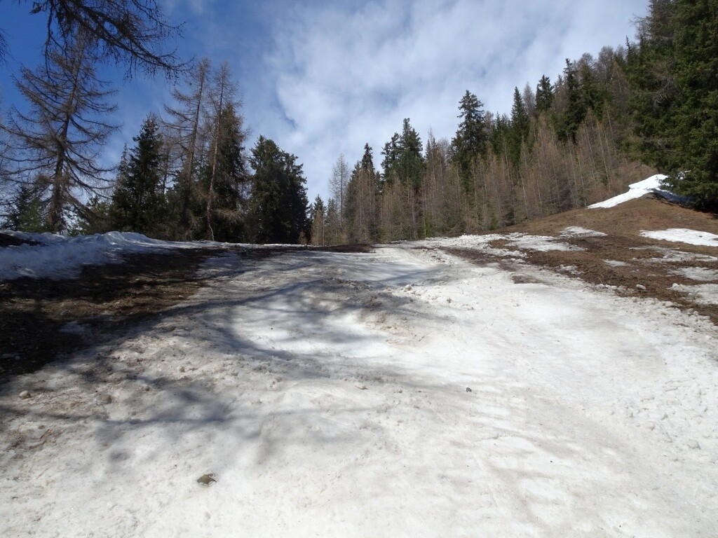 Das zweite Steilstück im Wald – der Grund für die Schließung. Hier musste man ein Stück abschnallen.
