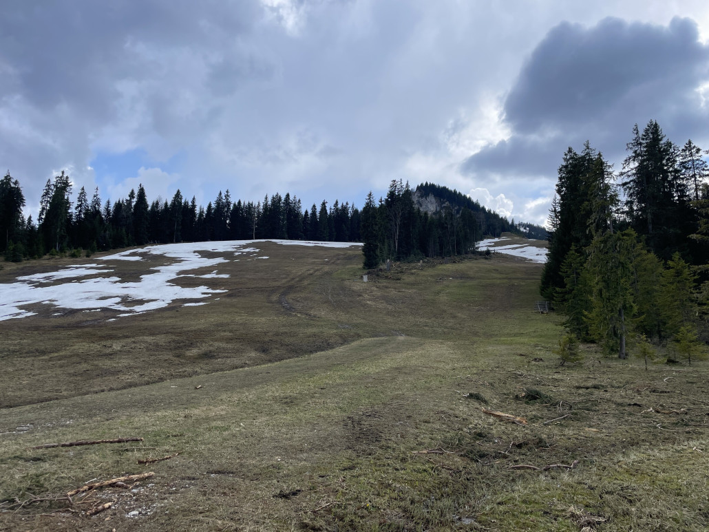 Die Rodungsmaßnahmen hatte ich schlimmer vermutet