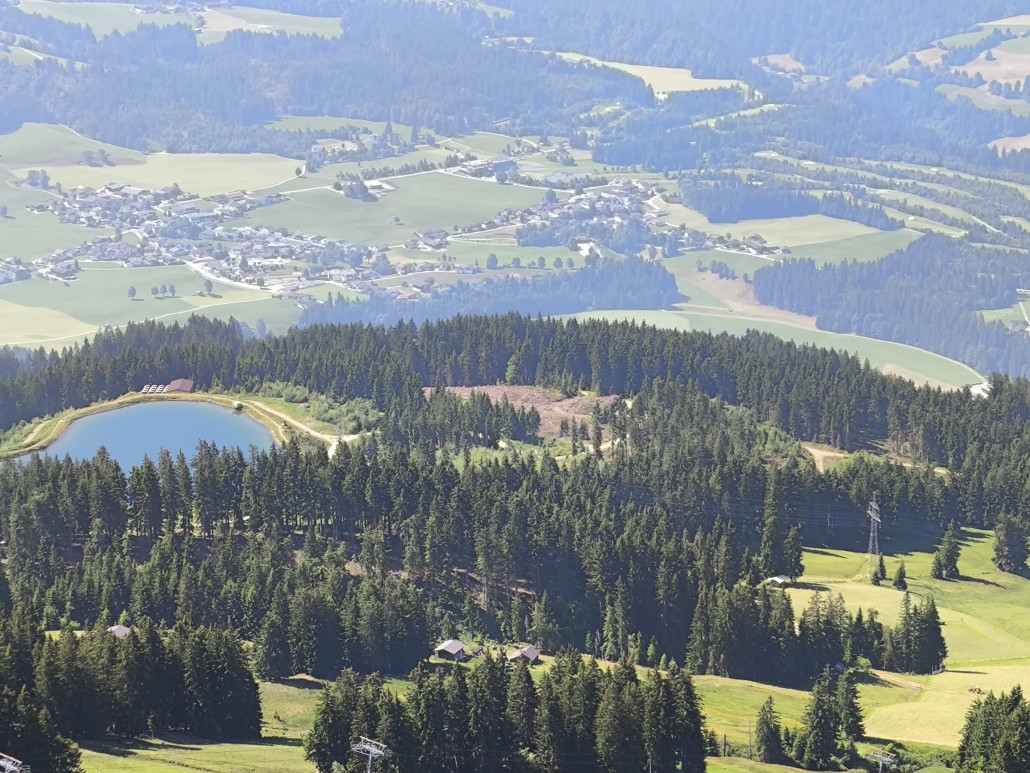 Standort neuer Teich?