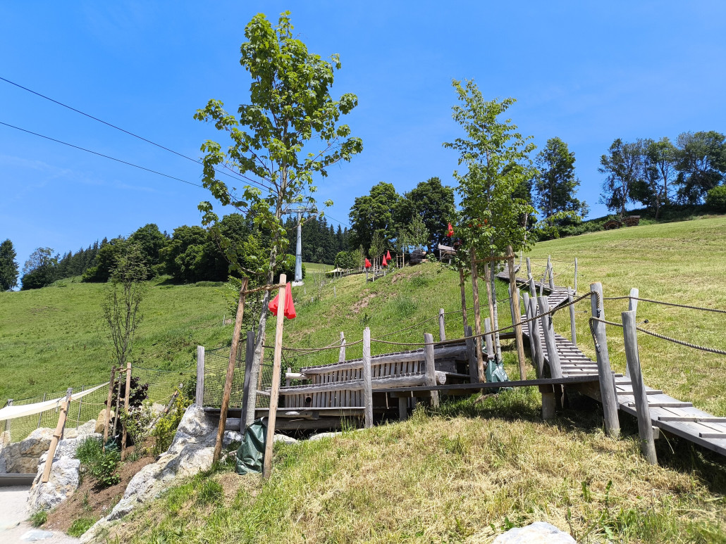 Bäume und Pflanzen würden gepflanzt. Gefällt uns echt gut.