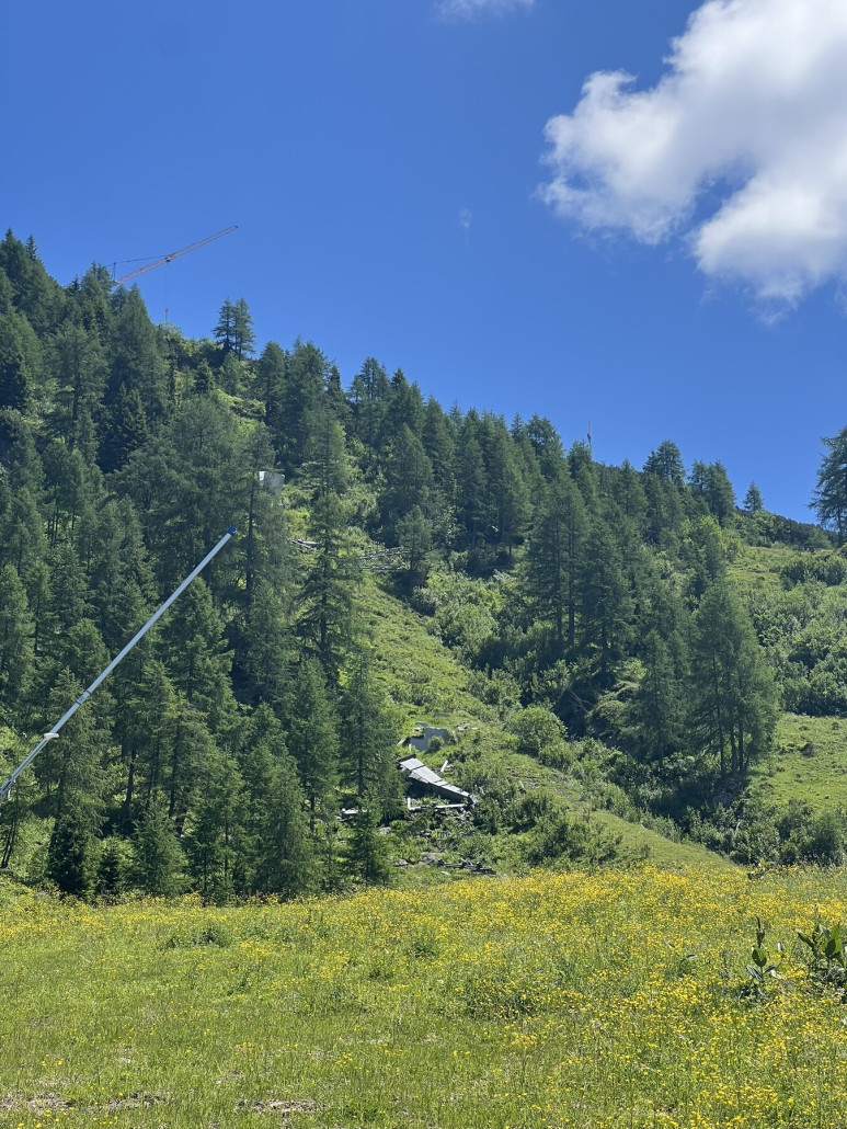 Reste der ehemaligen Niederhalter-Stütze und einer weiteren