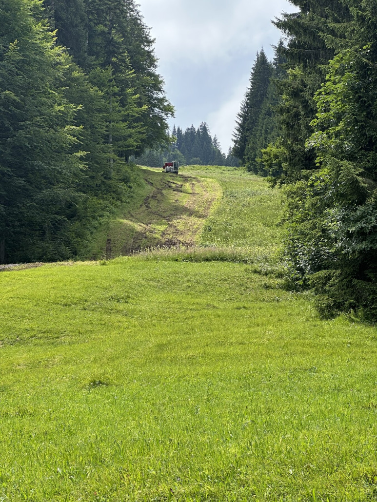 Auf Piste 5 wird fleißig gemulcht für den Graben