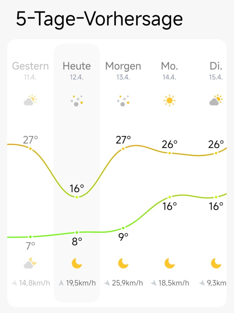 WhatsApp Image 2025-04-12 at 09.15.04.jpeg