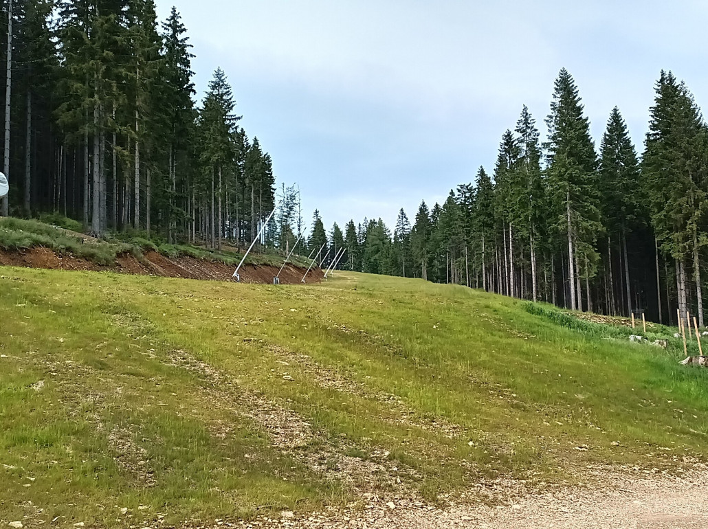 1000023398 (2000x1496).jpg