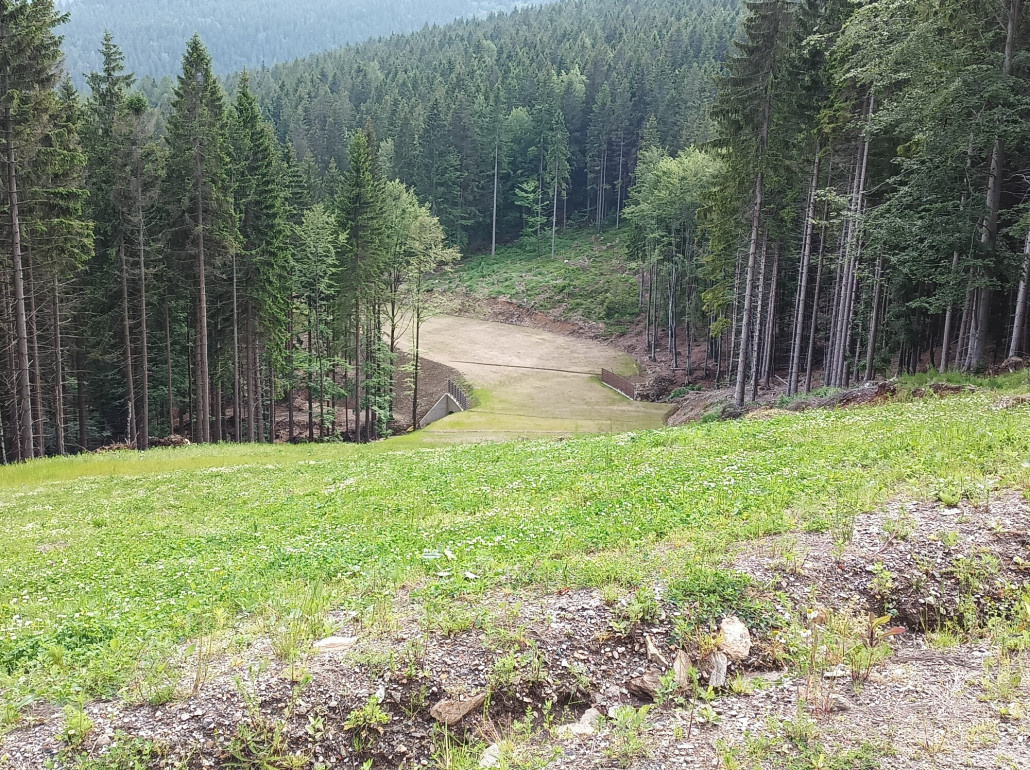 1000023399 (2000x1496).jpg