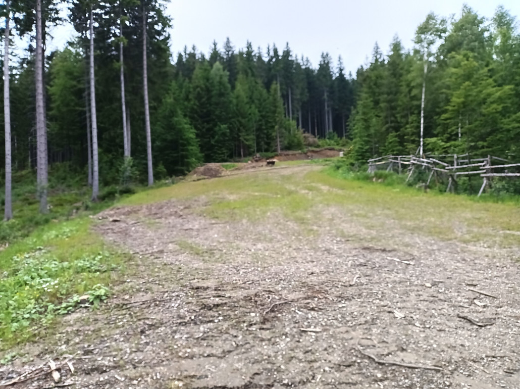 1000023401 (2000x1496).jpg