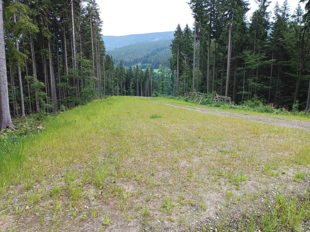 1000023400 (2000x1496).jpg