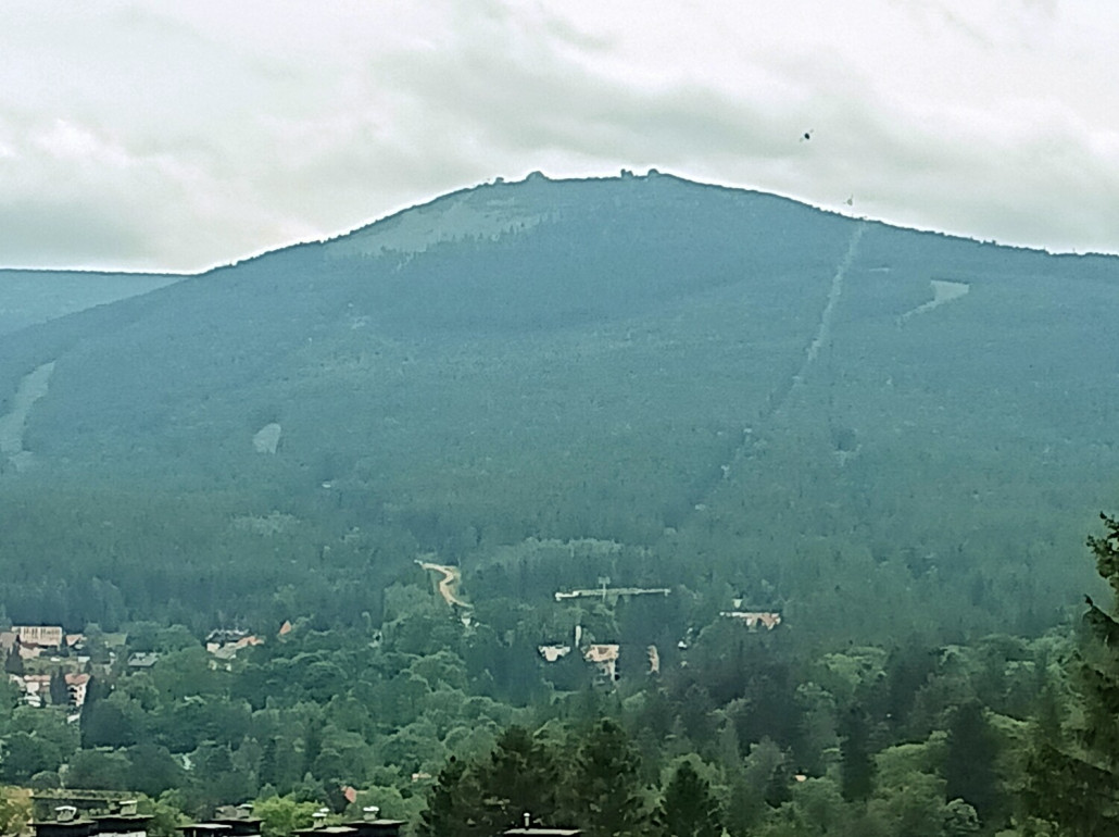 1000023390 (1500x1120).jpg