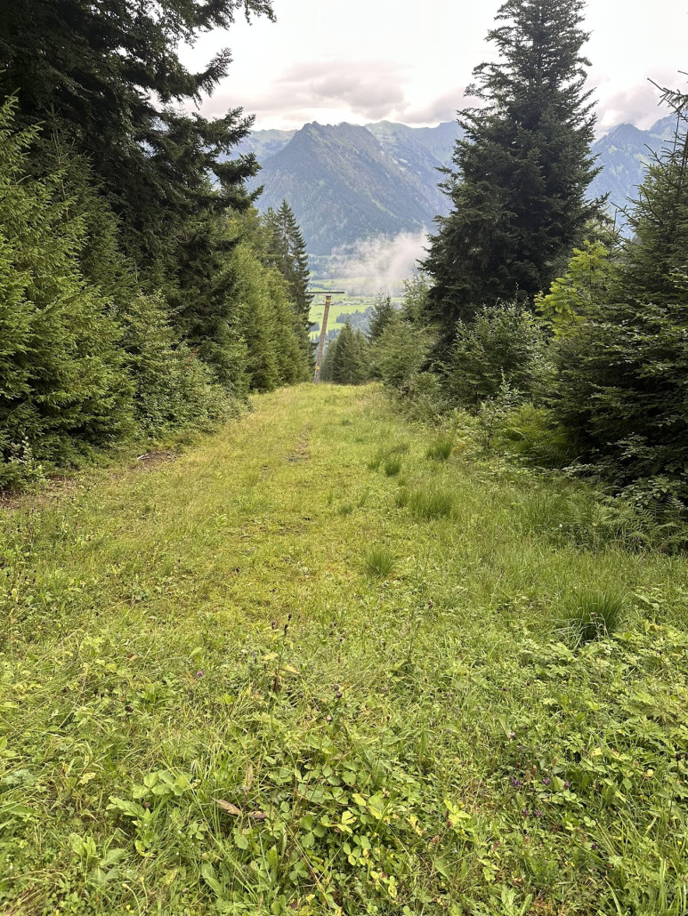Blick auf die Trasse. Von Beschneiung nichts zu sehen