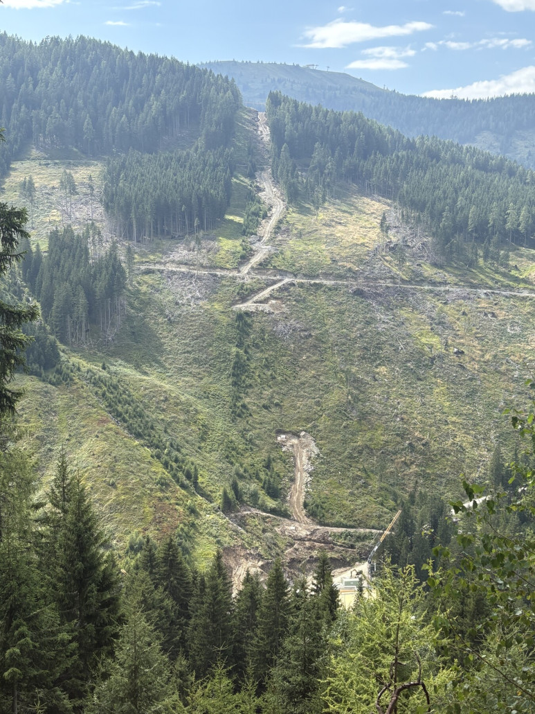 Trasse der Sonneckbahn/ „Mitterhausalm 1“