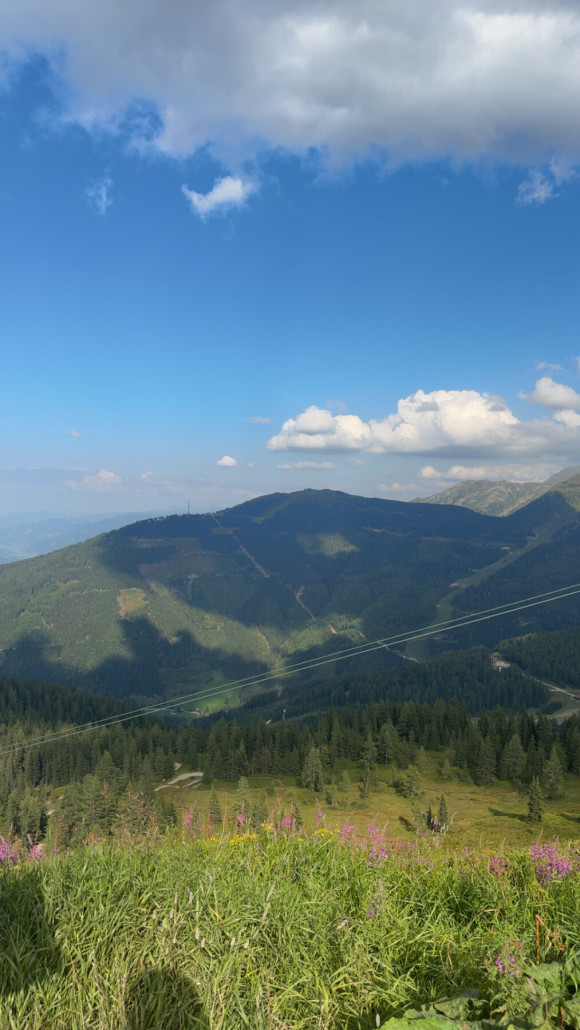 Und zuletzt ein Blick zurück auf die heutige Wanderung